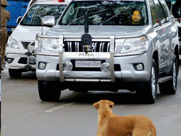 ಜಯಲಲಿತಾ ಐಷಾರಾಮಿ ಕಾರು - ಟೊಯೊಟಾ ಲ್ಯಾಂಡ್ ಕ್ರೂಸರ್ ಪ್ರಾಡೊ