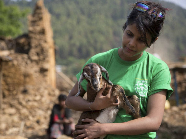 10. ಸುನಾಮಿ ಎಚ್ಚರಿಕೆ 