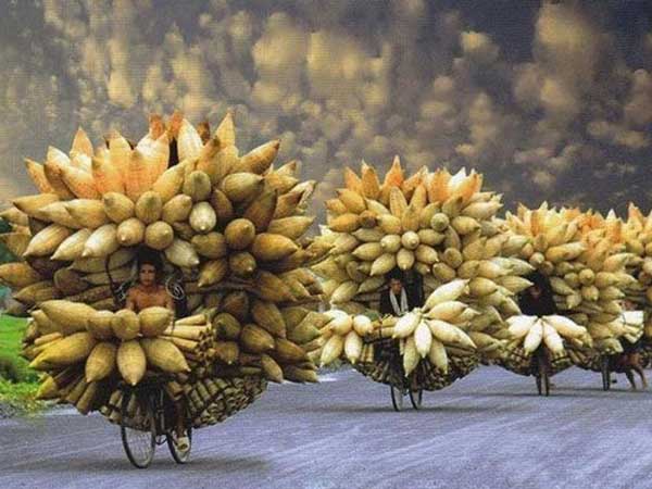 ವಾಹನಗಳಲ್ಲೂ ಯೋಗಾಚರಣೆ