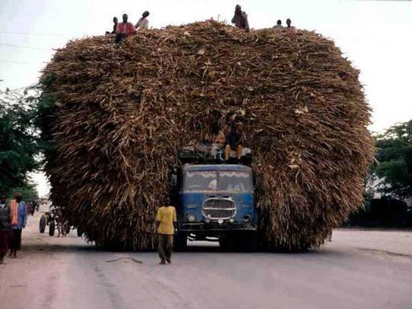 ವಾಹನಗಳಲ್ಲೂ ಯೋಗಾಚರಣೆ