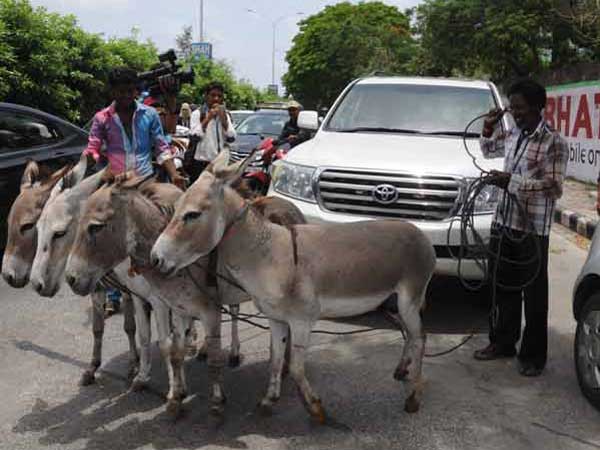 ಕೈಕೊಟ್ಟ ಲ್ಯಾಂಡ್ ಕ್ರೂಸರ್; ಸೂರತ್ ಮಾಲಿಕನಿಂದ ಕತ್ತೆ ಸೇವೆ!