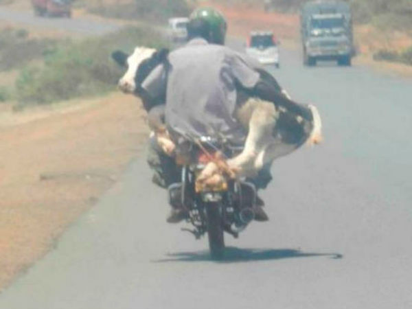 ಹಾಗೇ ಸುಮ್ಮನೇ, ವೀಕೆಂಡ್‌ನಲ್ಲಿ ಸ್ವಲ್ಪ ರಿಲಾಕ್ಸ್ ಆಗಿಬಿಡಿ