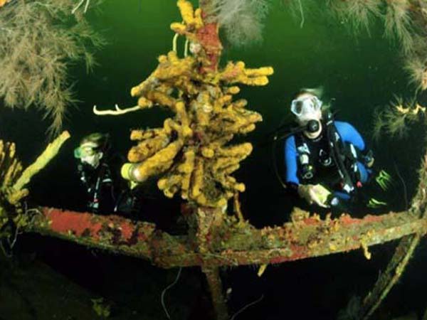 14. ಬಿಯಾಂಕಾ ಸಿ 