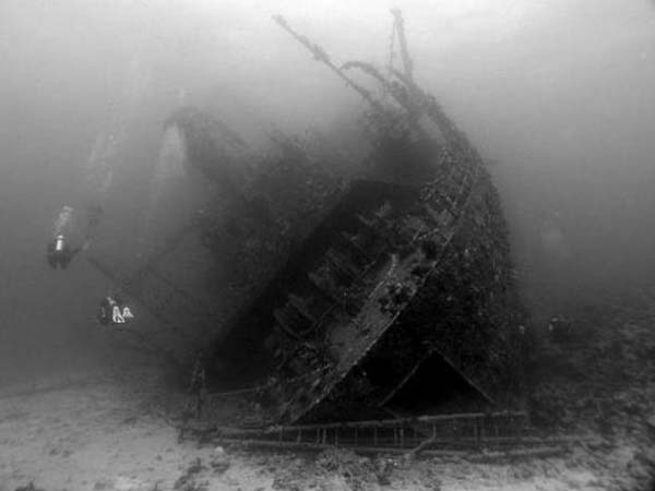 03. ಗಿಯಾನಿಸ್ ಡಿ