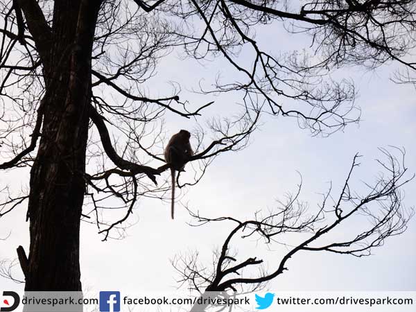 ಪ್ರಯಾಣ ವಿಮರ್ಶೆ; ಸರಳ, ಸಂತುಷ್ಟ ಕುಟುಂಬಕ್ಕೆ ಎಟಿಯೋಸ್ ಲಿವಾ 