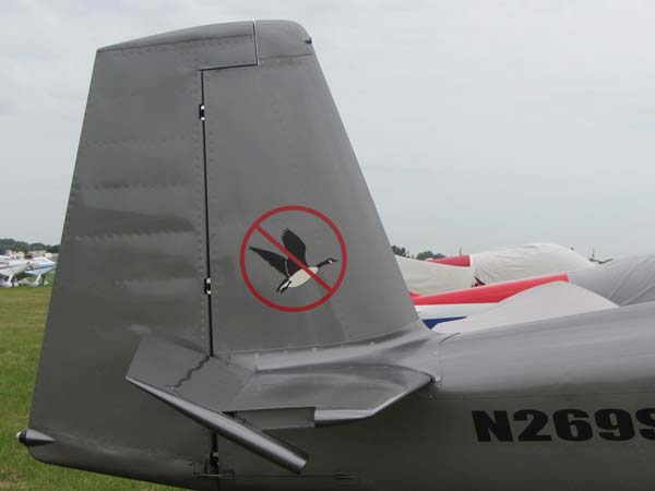 ಮೃದುವಾದ ಹಕ್ಕಿ ಢಿಕ್ಕಿಯಿಂದ ವಿಮಾನ ಪತನ; ಏನಿದರ ಮರ್ಮ?