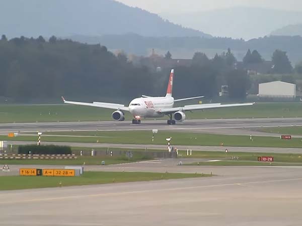 ಮೃದುವಾದ ಹಕ್ಕಿ ಢಿಕ್ಕಿಯಿಂದ ವಿಮಾನ ಪತನ; ಏನಿದರ ಮರ್ಮ?