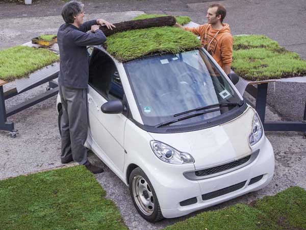 ನೈಜತೆಗೆ ಹತ್ತಿರವಾದ ಹುಲ್ಲುಹಾಸಿನ ಕಾರು