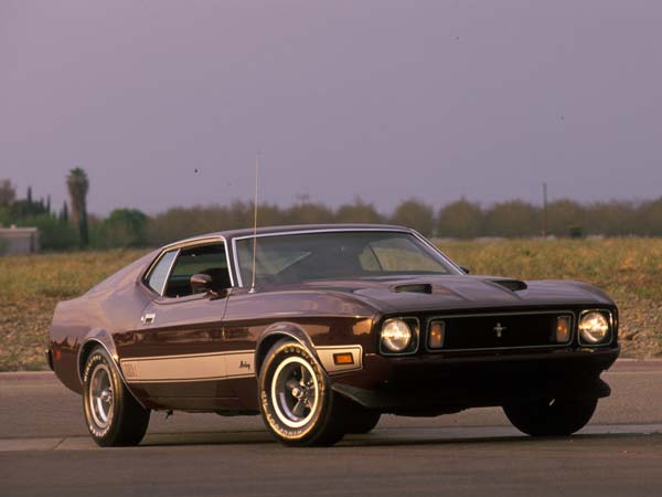 1973 ಫೋರ್ಡ್ ಮಸ್ಟಾಂಗ್