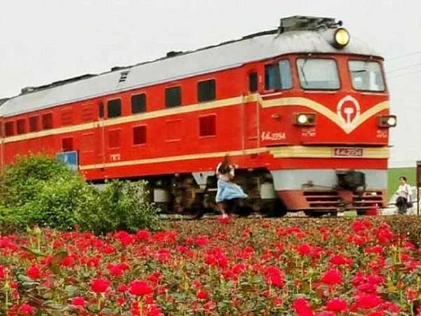 ಸೆಲ್ಫಿ ಚಟಕ್ಕೆ ತನ್ನ ಪ್ರಾಣವನ್ನೇ ತೆತ್ತ ಚೀನಾ ಬಾಲಕಿ
