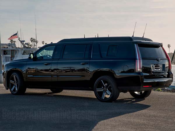 ಚಿತ್ರಗಳಲ್ಲಿ...