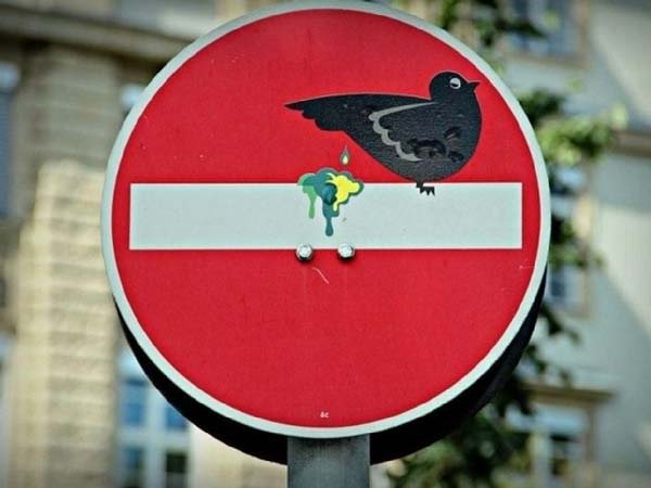 ಅರ್ಥವತ್ತಾದ ಸಂದೇಶ ಸಾರುವ ವ್ಯಂಗ್ಯ ರಸ್ತೆ ಸೂಚನಾ ಫಲಕಗಳು