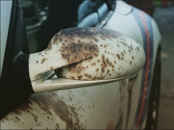 ವಿಚಿತ್ರ ವಾಹನ ಪ್ರೇಮ; ತುಕ್ಕು ಹಿಡಿದ ಕೋಟಿ ಬೆಲೆಬಾಳುವ ಪೋರ್ಷೆ ಕಾರು 