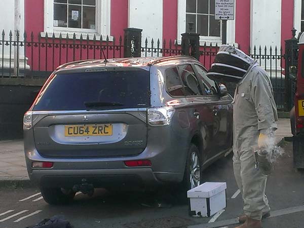 ರಾಣಿಯ ರಕ್ಷಣೆಗಾಗಿ ಸಿನೆಮಾ ಶೈಲಿಯಲ್ಲಿ ದಿನವಿಡೀ ಕಾರನ್ನು ಅಟ್ಟಾಡಿಸಿದ ಜೇನ್ನೊಣಗಳು! 