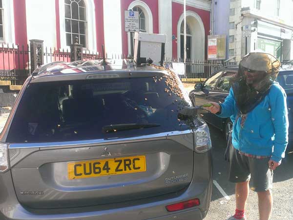 ರಾಣಿಯ ರಕ್ಷಣೆಗಾಗಿ ಸಿನೆಮಾ ಶೈಲಿಯಲ್ಲಿ ದಿನವಿಡೀ ಕಾರನ್ನು ಅಟ್ಟಾಡಿಸಿದ ಜೇನ್ನೊಣಗಳು! 