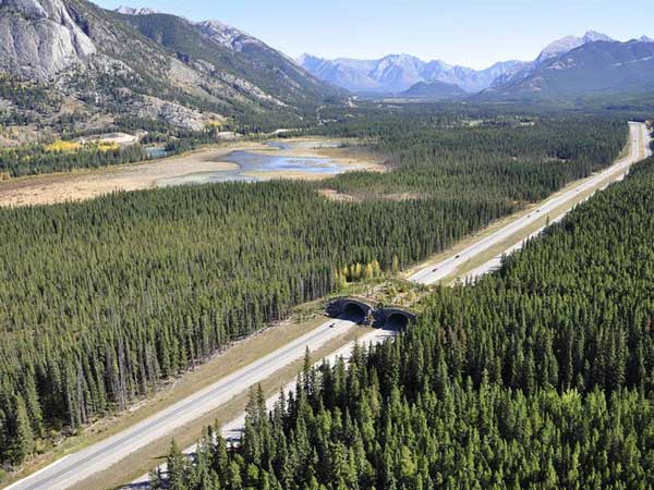 01. ಬ್ಯಾನ್ಫ್ ನ್ಯಾಷನಲ್ ಪಾರ್ಕ್, ಅಲ್ಬೆರ್ಟಾ, ಕೆನೆಡಾ 