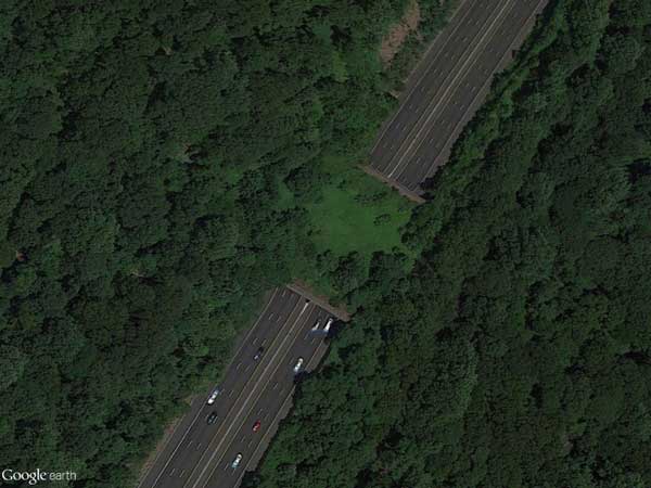 04. ಸ್ಕಾಚ್ ಪ್ಲೈನ್ಸ್ 