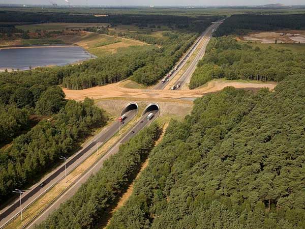 05. ಇ314, ಬೆಲ್ಜಿಯಂ 