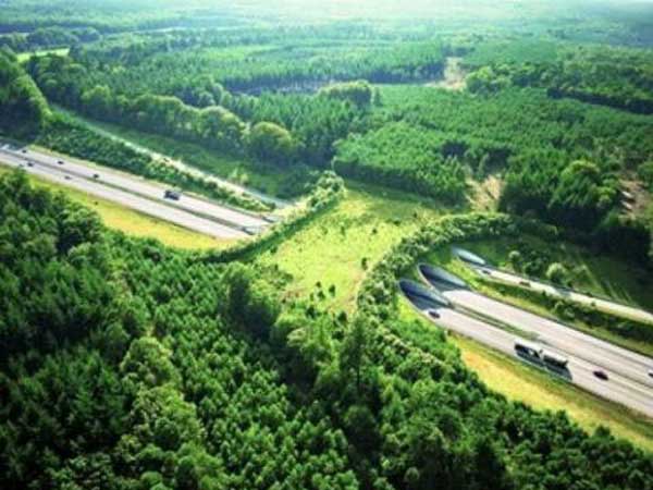 06. ಹೈವೇ ಎ50, ಹಾಲೆಂಡ್ 