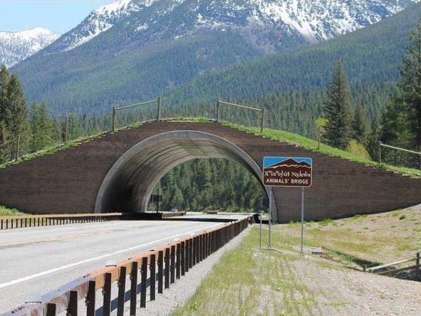 07. ಫ್ಲ್ಯಾಟ್ ಹೆಡ್ ಇಂಡಿಯನ್ ರಿಸರ್ವವೇಷನ್, ಮೌಂಟನಾ