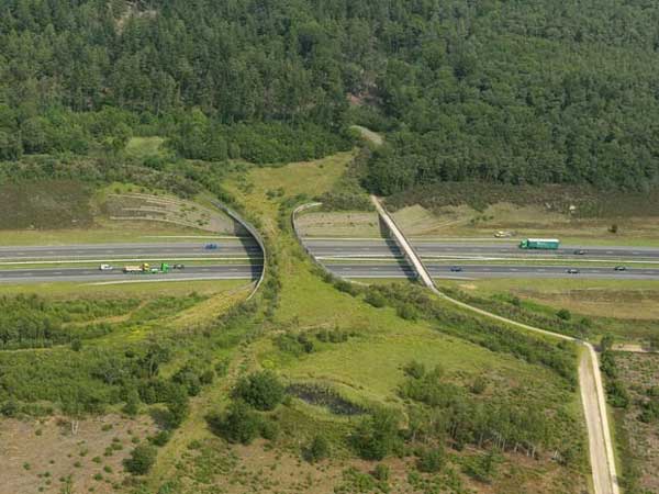 08. ಬೊರ್ಕೆಲ್ಡ್, ಹಾಲೆಂಡ್ 