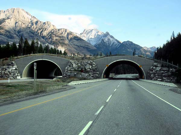 11. ಬ್ಯಾನ್ಫ್ ನ್ಯಾಷನಲ್ ಪಾರ್ಕ್, ಕೆನೆಡಾ 