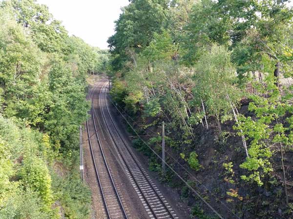 ನಾಝಿ ಚಿನ್ನದ ರೈಲಿಗಾಗಿ ಭೂಗತ ಶೋಧ ಕಾರ್ಯ; ಬಯಲಾದಿತೇ ಸತ್ಯಾಸತ್ಯತೆ? 