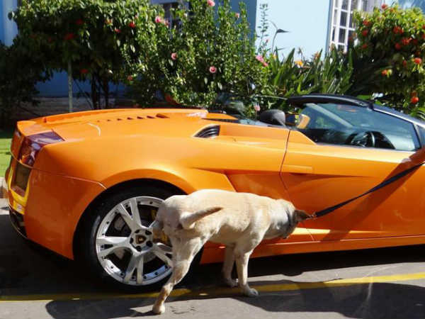 ಲಂಬೋರ್ಗಿನಿ ಗಲರ್ಡೊ 