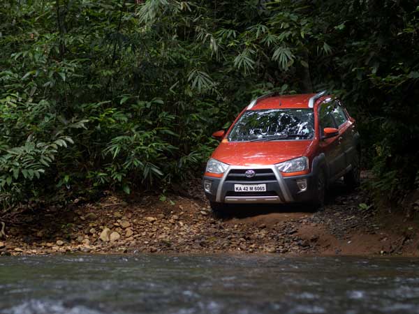 ಬನ್ನೇರುಘಟ್ಟದಲ್ಲಿ ಸಿಂಹಗಳಿಗೆ ಚೆಲ್ಲಾಟ ಪ್ರವಾಸಿಗರಿಗೆ ಪ್ರಾಣ ಸಂಕಟ!