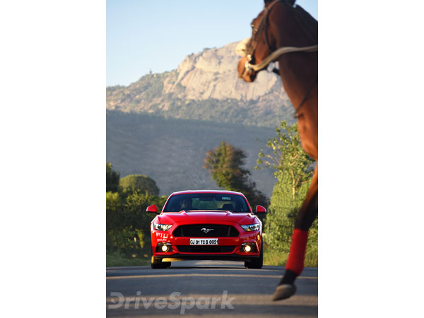 ಬೆಂಗಳೂರಿಗೆ ಕಾಲಿರಿಸಿದ ಐಕಾನಿಕ್ ಫೋರ್ಡ್ ಮಸ್ಟಾಂಗ್ 