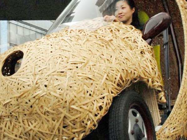 ನೈಸರ್ಗಿಕ ಉತ್ಪನ್ನಗಳಿಂದಲೇ ಸಿದ್ಧಗೊಂಡ ಫೋರ್ಡ್ ವಿನೂತನ ಕಾರು