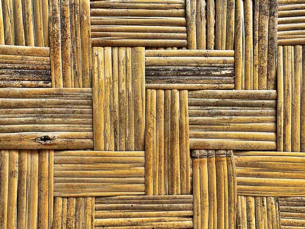 ನೈಸರ್ಗಿಕ ಉತ್ಪನ್ನಗಳಿಂದಲೇ ಸಿದ್ಧಗೊಂಡ ಫೋರ್ಡ್ ವಿನೂತನ ಕಾರು