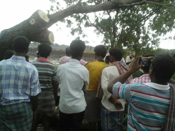 ಹಳ್ಳಕ್ಕೆ ಉರುಳಿದ ಕೆಎಸ್‌ಆರ್‌ಟಿಸಿ ಬಸ್- ಪ್ರಯಾಣಿಕರನ್ನು ರಕ್ಷಿಸಿದ ಗ್ರಾಮಸ್ಥರು