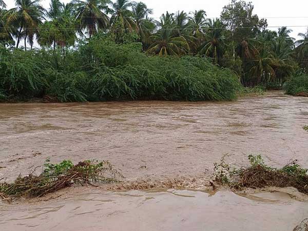 ಹಳ್ಳಕ್ಕೆ ಉರುಳಿದ ಕೆಎಸ್‌ಆರ್‌ಟಿಸಿ ಬಸ್- ಪ್ರಯಾಣಿಕರನ್ನು ರಕ್ಷಿಸಿದ ಗ್ರಾಮಸ್ಥರು