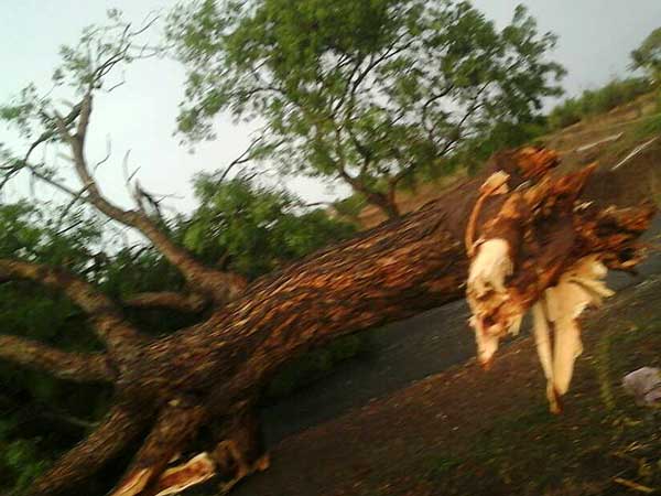 ಹಳ್ಳಕ್ಕೆ ಉರುಳಿದ ಕೆಎಸ್‌ಆರ್‌ಟಿಸಿ ಬಸ್- ಪ್ರಯಾಣಿಕರನ್ನು ರಕ್ಷಿಸಿದ ಗ್ರಾಮಸ್ಥರು