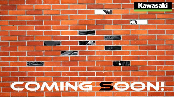 ಕವಾಸಕಿ ಸಂಸ್ಥೆಯ ವಲ್ಕನ್ 650 ಎಸ್ ಕ್ರೂಸರ್‌ನ ಟೀಸರ್ ಭಾರತದಲ್ಲಿ ಅನಾವರಣ