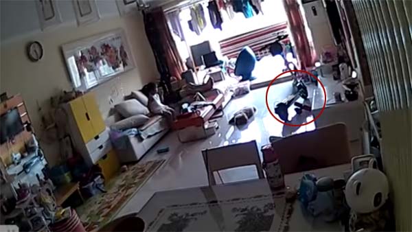 ಮನೆಯಲ್ಲಿ ಸ್ಪೋಟಗೊಂಡ ಎಲೆಕ್ಟ್ರಿಕ್ ಸ್ಕೂಟರ್ : ವೀಡಿಯೊ