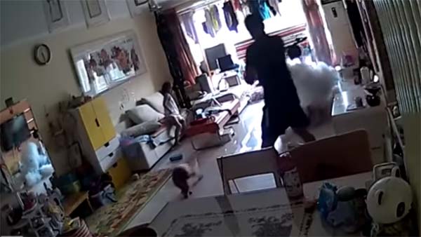 ಮನೆಯಲ್ಲಿ ಸ್ಪೋಟಗೊಂಡ ಎಲೆಕ್ಟ್ರಿಕ್ ಸ್ಕೂಟರ್ : ವೀಡಿಯೊ