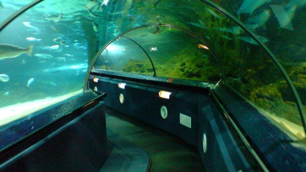 ದೇಶದಲ್ಲಿ ನಿರ್ಮಾಣವಾಗಲಿದೆ ವಿಶ್ವದ ಅತಿ ಉದ್ದದ ಜಲಾಂತರ್ಗಾಮಿ ರೈಲ್ವೆ ಯೋಜನೆ..! 