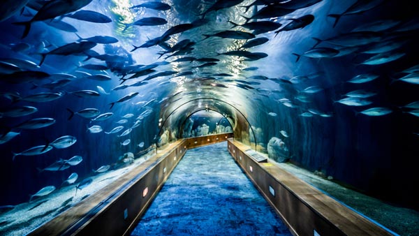 ದೇಶದಲ್ಲಿ ನಿರ್ಮಾಣವಾಗಲಿದೆ ವಿಶ್ವದ ಅತಿ ಉದ್ದದ ಜಲಾಂತರ್ಗಾಮಿ ರೈಲ್ವೆ ಯೋಜನೆ..! 