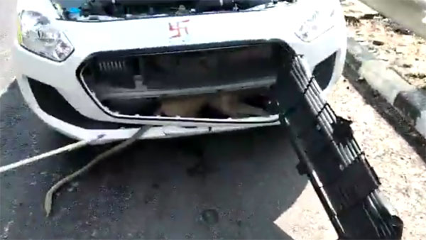 ರಸ್ತೆ ದಾಟಲು ಹೋಗಿ ಕಾರಿನ ಬ್ಯಾನೆಟ್‌ನಲ್ಲಿ ಸಿಲುಕಿದ ಮಂಗ ಪಾರಾಗಿದ್ದೇ ಪವಾಡ...!