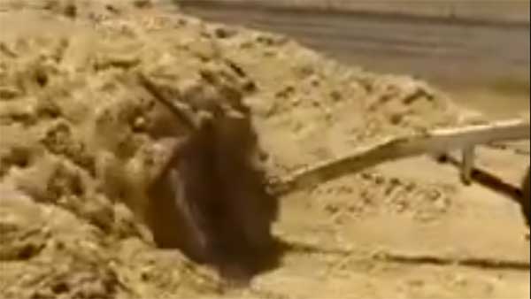 ಸಾಧಾರಣ ರೈತನ ಆವಿಷ್ಕಾರವನ್ನು ಪ್ರಶಂಸಿದ ಆನಂದ್ ಮಹೀಂದ್ರಾ