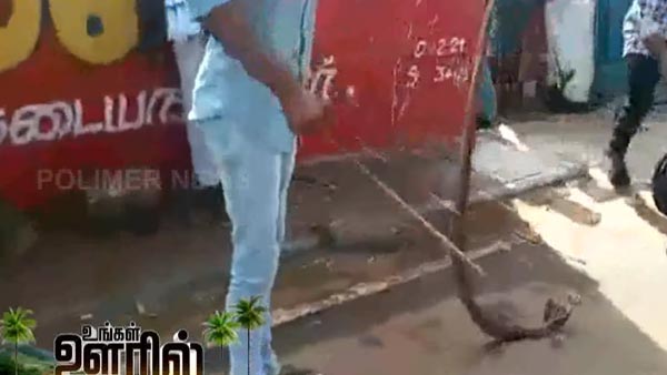 ಆಕ್ಟಿವಾದೊಳಗೆ ಸೇರಿದ ಹಾವು, ಮುಂದೇನಾಯ್ತು ನೋಡಿ..!