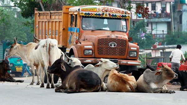 ಎಕ್ಸ್‌ಪ್ರೆಸ್‌ವೇಗಳಲ್ಲಿ ಎದುರಾಗುವ ಅಪಾಯಕಾರಿ ಸಂಗತಿಗಳಿವು..!