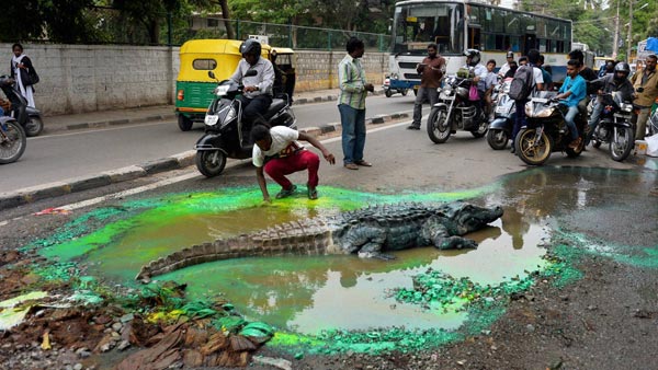 ಬಿಬಿಎಂಪಿಗೆ ಹೈ-ಕೋರ್ಟ್‍ನಿಂದ ಕಡಖ್ ವಾರ್ನಿಂಗ್. ಏನದು.?