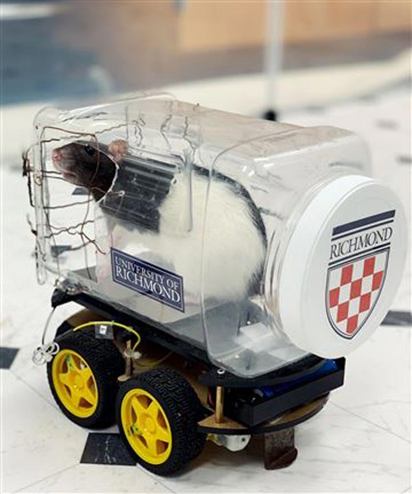 ಲ್ಯಾಬ್‍‍ನಲ್ಲಿದ್ದ ಮೂಷಿಕ ಮಾಡಿದ್ದೇನು ಗೊತ್ತಾ?