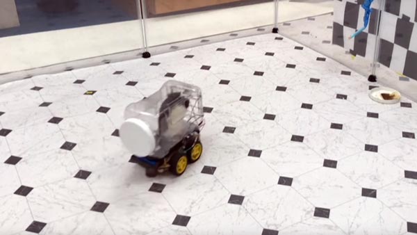 ಲ್ಯಾಬ್‍‍ನಲ್ಲಿದ್ದ ಮೂಷಿಕ ಮಾಡಿದ್ದೇನು ಗೊತ್ತಾ?