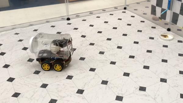 ಲ್ಯಾಬ್‍‍ನಲ್ಲಿದ್ದ ಮೂಷಿಕ ಮಾಡಿದ್ದೇನು ಗೊತ್ತಾ?