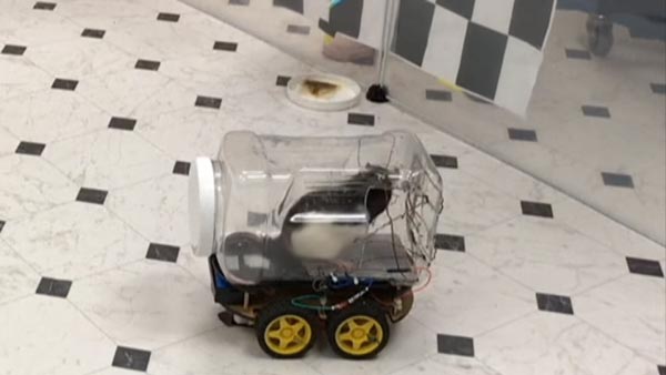 ಲ್ಯಾಬ್‍‍ನಲ್ಲಿದ್ದ ಮೂಷಿಕ ಮಾಡಿದ್ದೇನು ಗೊತ್ತಾ?