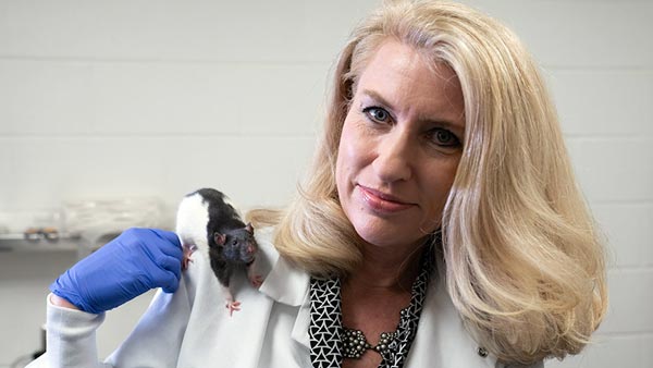 ಲ್ಯಾಬ್‍‍ನಲ್ಲಿದ್ದ ಮೂಷಿಕ ಮಾಡಿದ್ದೇನು ಗೊತ್ತಾ?